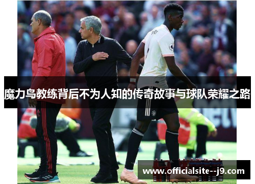 魔力鸟教练背后不为人知的传奇故事与球队荣耀之路